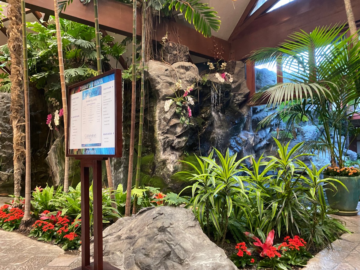 (Arc II) Act 9: IU HEREH Concert Gift, San Diego Team Offsite and Beer Tour, and the Grad School&nbsp;Homestretch